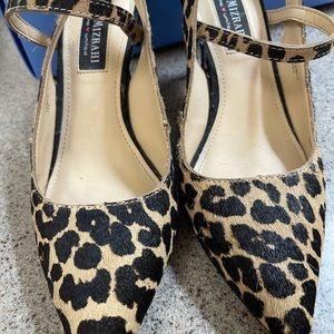 Cheetah pumps